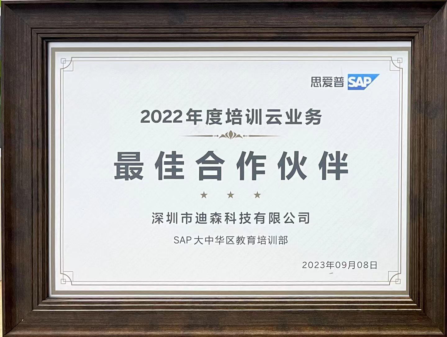 2023 SAP最佳合作伙伴